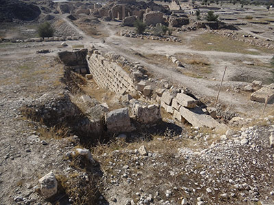 کاخ والرین