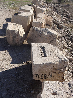 کاخ والرین