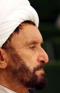 حجه الاسلام علی دوانی (فرزند اسماعیل)
