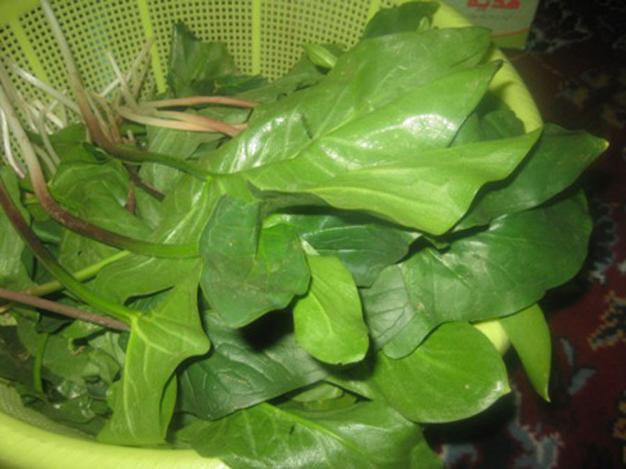 آش کارده